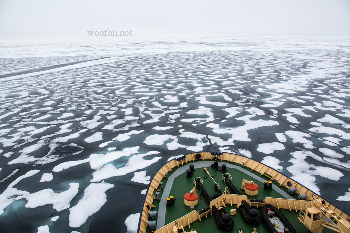 การละลาย ของน้ำแข็งอาร์กติกสามารถเปลี่ยนเส้นทางการขนส่งระหว่างประเทศได้ เนื่องจากการเปลี่ยนแปลงของสภาพอากาศทำให้มหาสมุทรของโลก