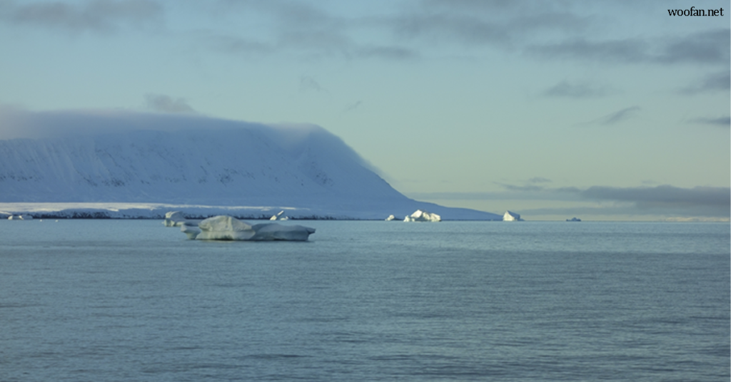 ค้นพบสายพานลำเลียง คาร์บอนอาร์กติก ทุกๆ ปี การขนส่งอนุภาคที่อุดมด้วยคาร์บอนข้ามชั้นจากทะเล Barents และ Kara สามารถจับ
