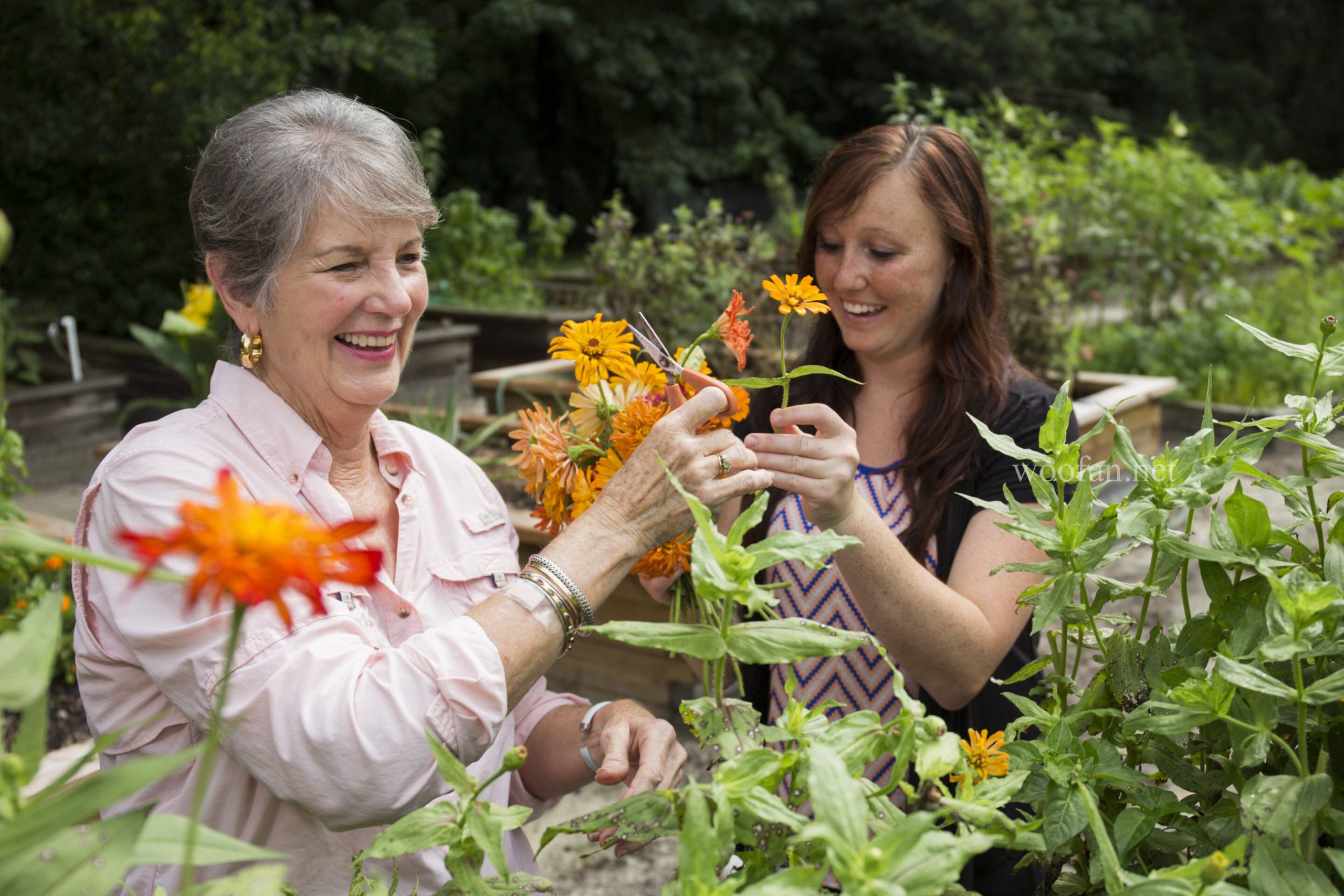 gardening-can-cultivat
