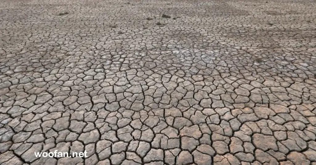 สำนักงาน สภาพอากาศของสหภาพยุโรป (Copernicus Climate Change Service - C3S) เปิดเผยข้อมูลสำคัญในปี 2024